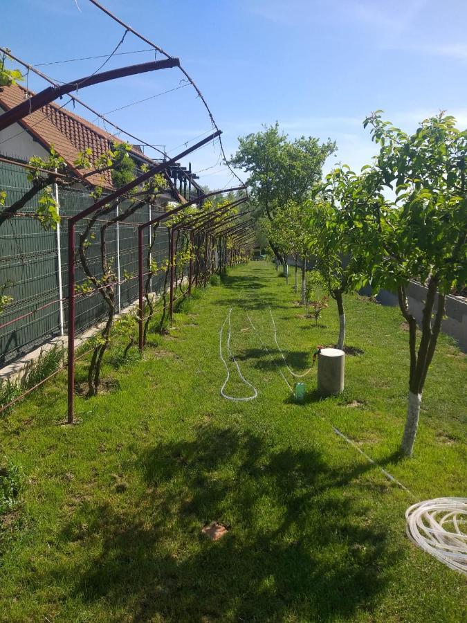 Cabanele Deltei Dunavăţu de Jos Esterno foto