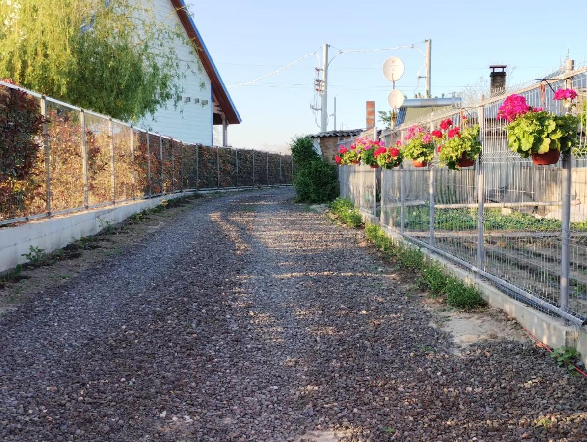 Cabanele Deltei Dunavăţu de Jos Esterno foto