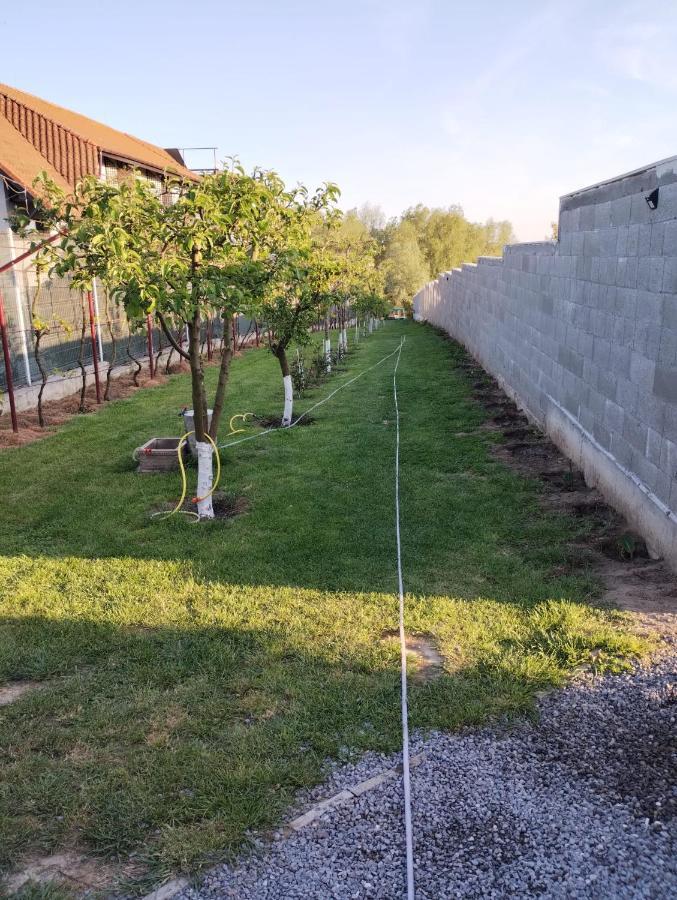 Cabanele Deltei Dunavăţu de Jos Esterno foto
