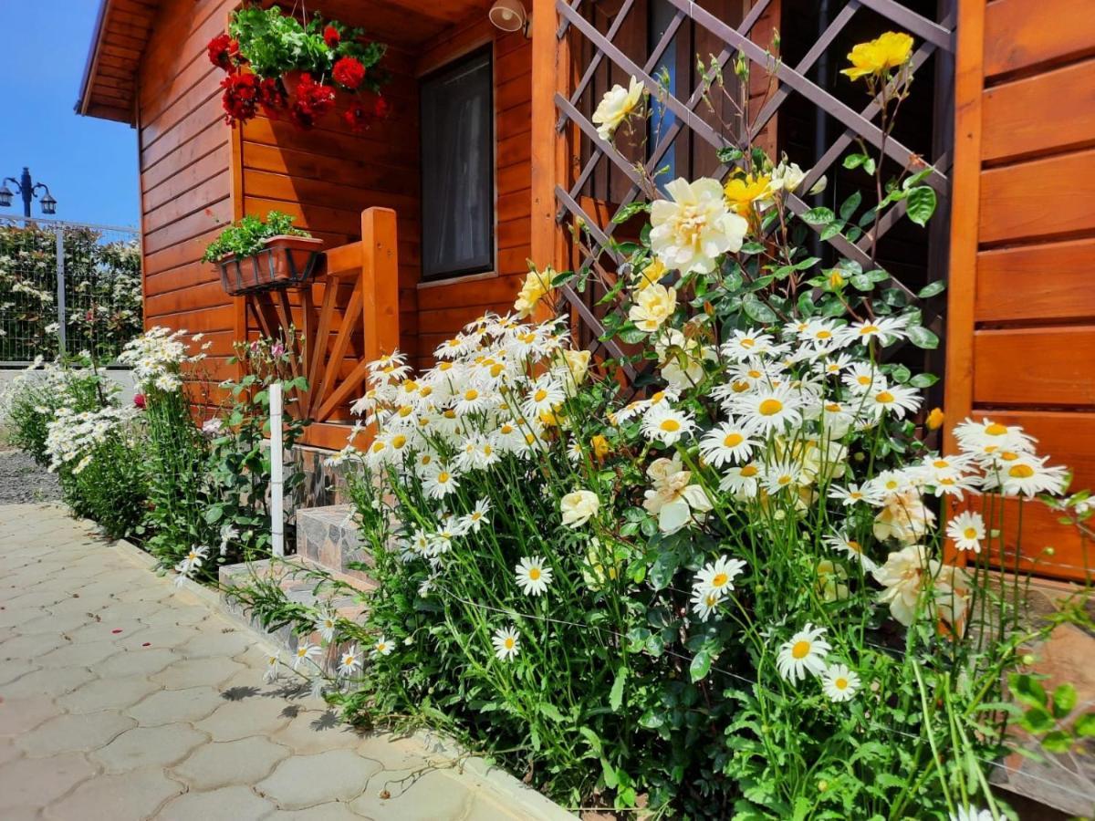 Cabanele Deltei Dunavăţu de Jos Esterno foto